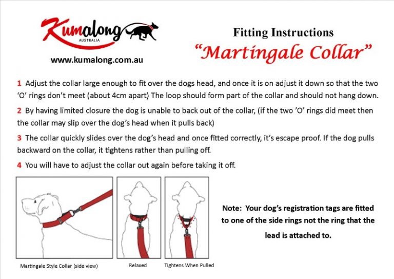 LARGE Martingale Collar For Dogs (Spun) Kumalong