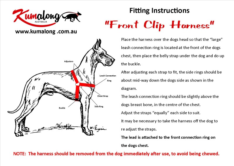 Front attachment dog harness best sale