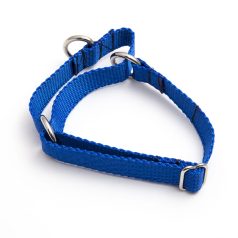 martingale collar - blue poly