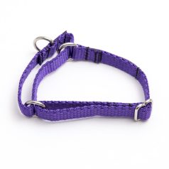 martingale collar - purple poly