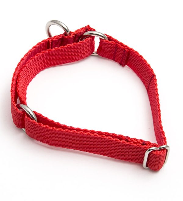 MEDIUM Martingale Collar (Poly) Kumalong