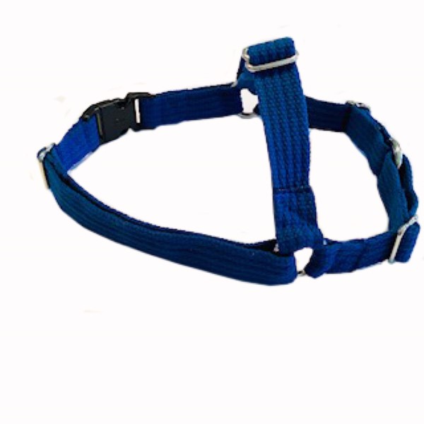 This is a picture of a Blue Large Front clip harness
