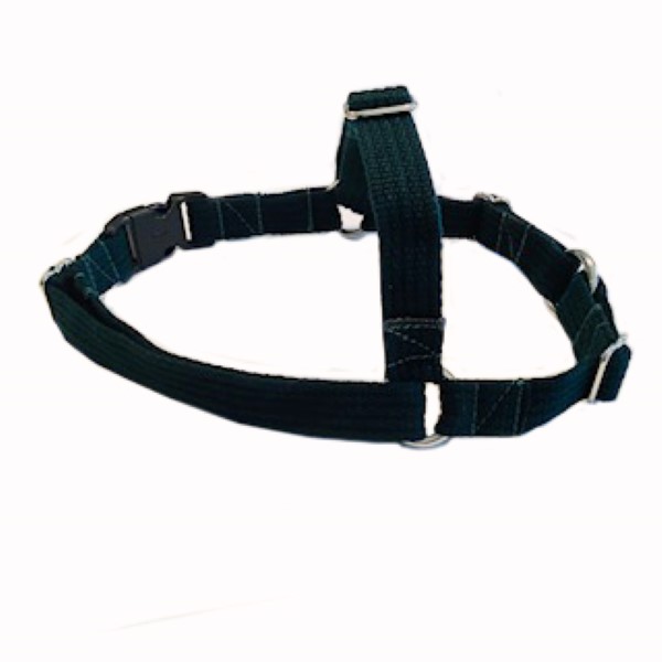 This is a picture of a Small dark green front clip harness