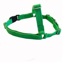 This is a picture of a Medium Light Green Front Clip Harness