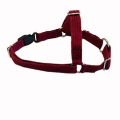 This is a picture of a Maroon XSmall Front Clip Harness