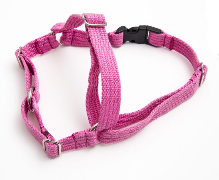 SMALL Front Clip Harness 20mm Kumalong