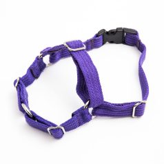 x-small harness purple