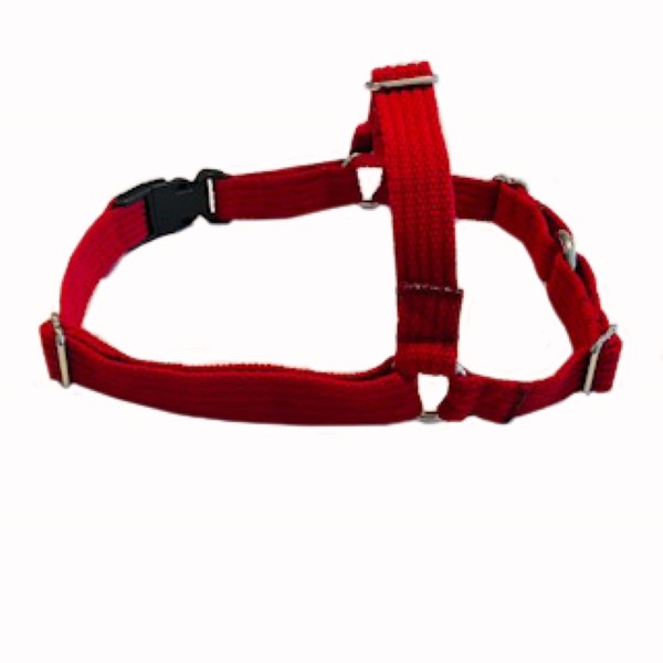 This is a picture of a red XL Front Clip Harness