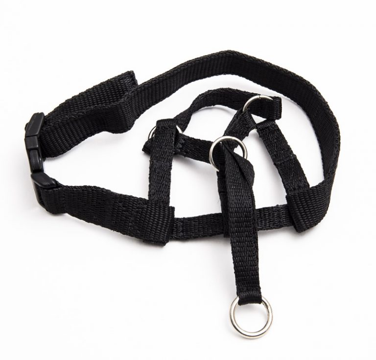 Head Halter Size 6 Kumalong