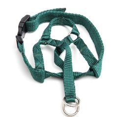 head halter green