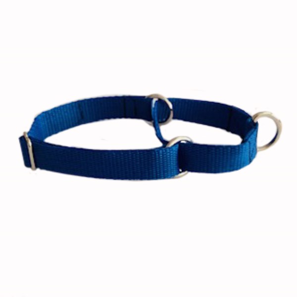 Dog Collars Martingale For Sale Online Kumalong