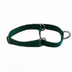 This is a picture of a Dark Green Medium Martingale collar