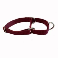 This is a picture of a Small Maroon Martingale collar