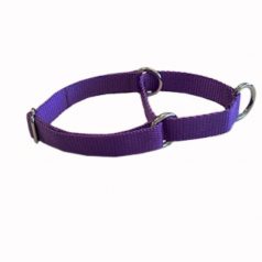 This is a picture of a Purple XLarge Martingale Collar