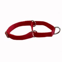 This is a picture of a Large Red Martingale collar