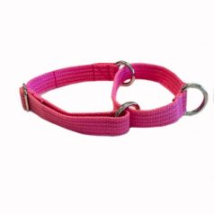 This is a picgture of a pink small martingale collar